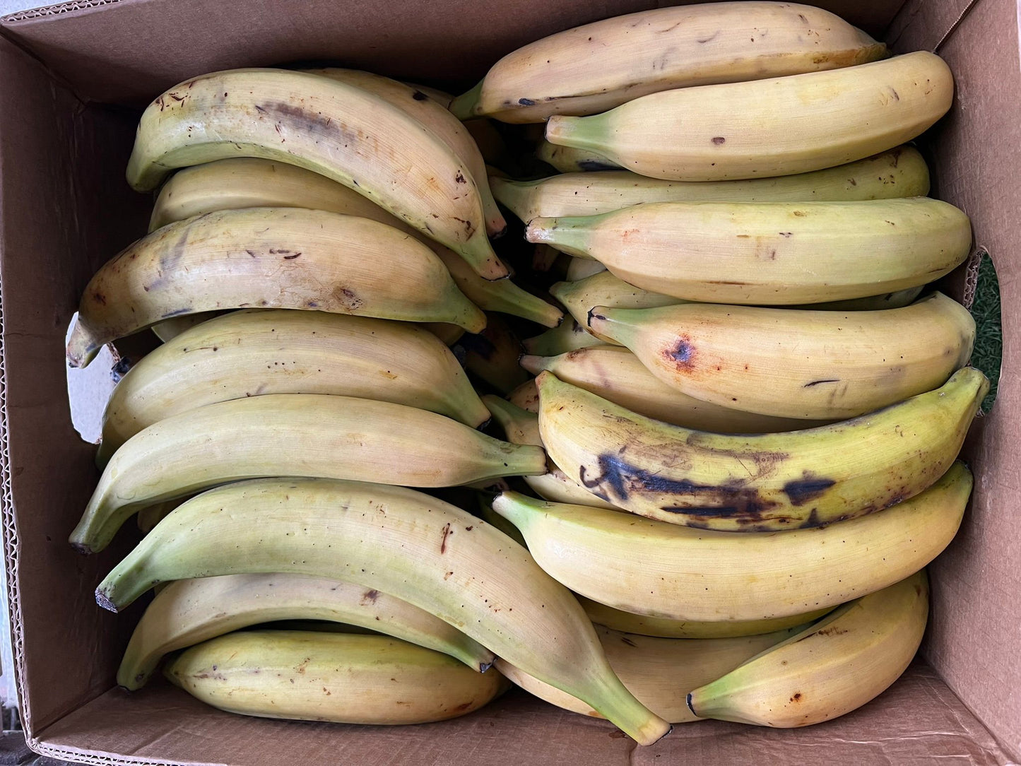 Banane Plantain - mûre